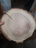 Old-Growth Redwood Timekeeper Round | Natural Tree Ring Display | Hand-Sanded Redwood Slice