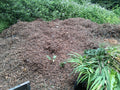 Coastal Redwood mulch